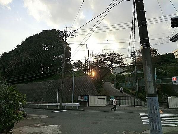 【周辺】横浜市立芹が谷中学校 徒歩約7分。 550m