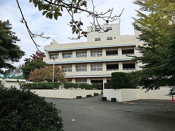 【周辺】横浜市立浜小学校800ｍ