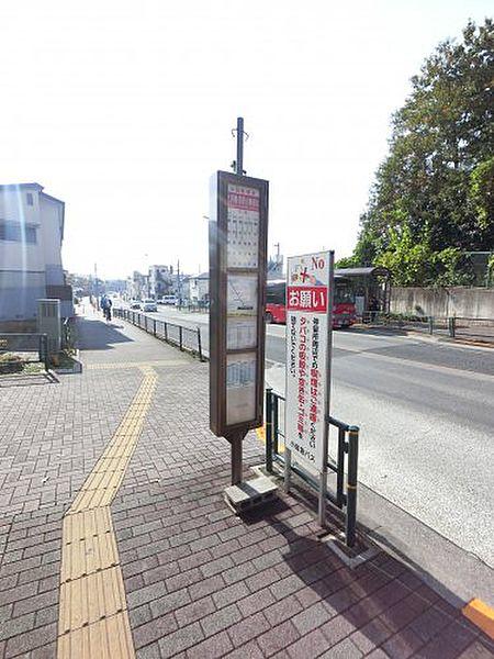 【周辺】【バス停】大沢橋・羽沢小学校前バス停まで453ｍ