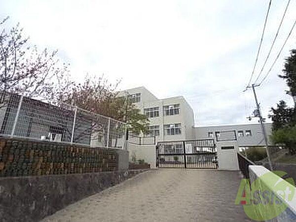 【周辺】神戸市立白川小学校 518m