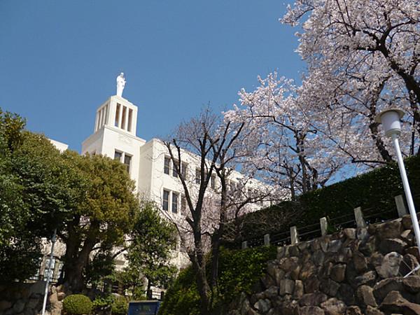 【周辺】神戸海星女子学院大学