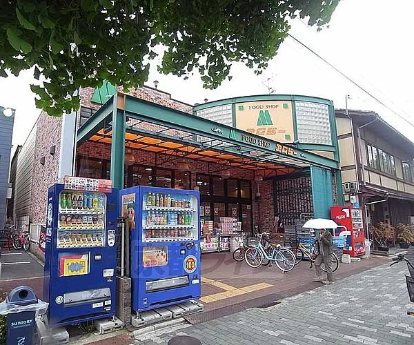 【周辺】エムジー 上堀川店まで50m 新鮮な食材を揃えたいならここ。