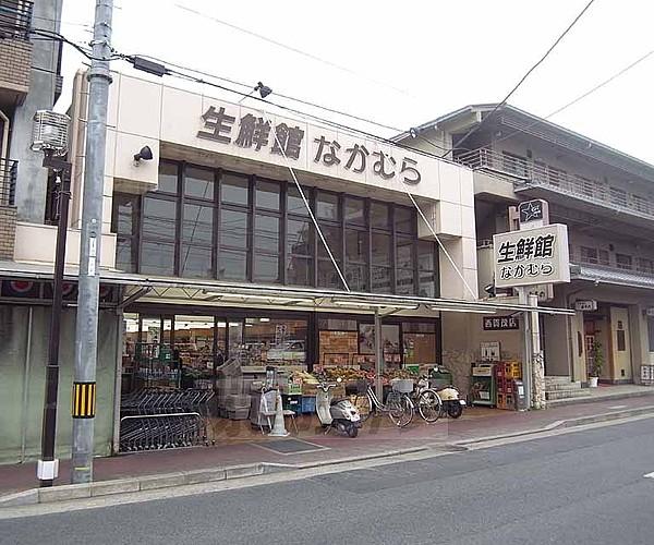 【周辺】生鮮館なかむら 西賀茂店まで30m 新鮮な食材勢揃い。