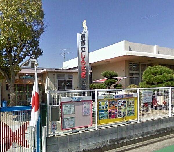 【周辺】【幼稚園】堺市立白鷺幼稚園まで1293ｍ