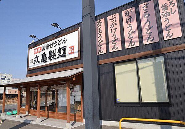 【周辺】【そば・うどん】丸亀製麺　富田林店まで636ｍ