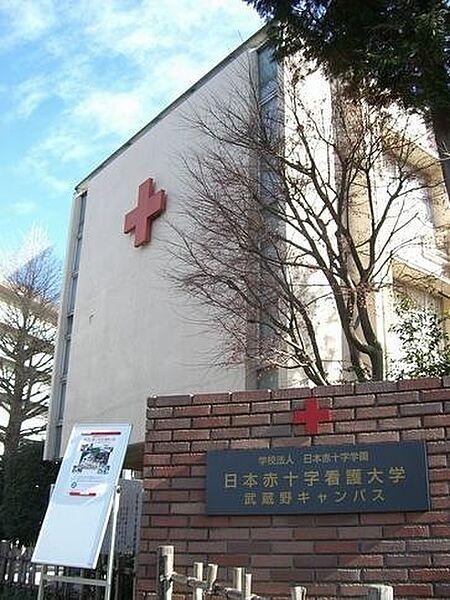 【周辺】【大学】日本赤十字看護大学武蔵野キャンパスまで1356ｍ
