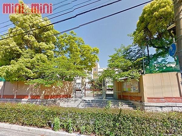 【周辺】神戸市立雲中小学校 401m