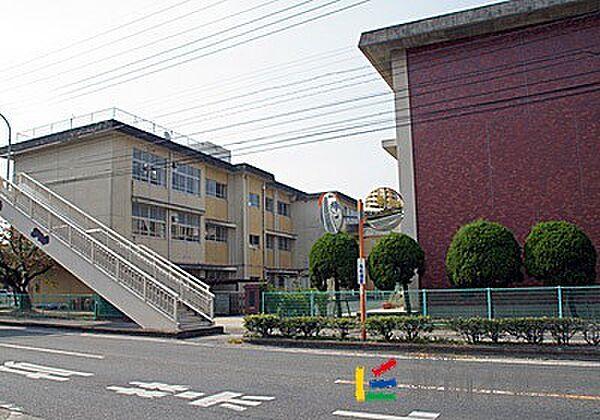 【周辺】鍋島小学校 