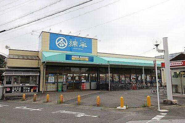 【周辺】綿半フレッシュマーケット 平島店 620m