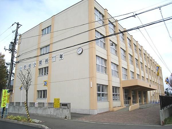 【周辺】札幌市立小野幌小学校 439m