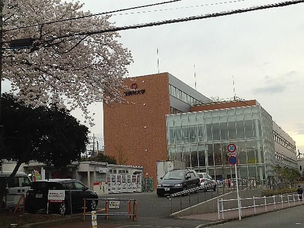 【周辺】桜美林大学（770m）