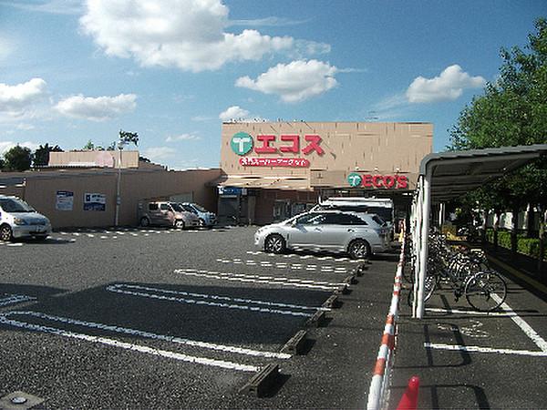 【周辺】エコス 城山店（536m）