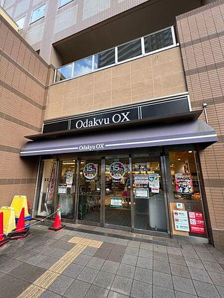 【周辺】OdakyuOX相模原店 徒歩12分。 950m