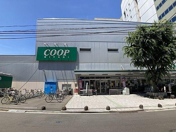 【周辺】COOP　MIYAGI柏木店 徒歩4分。 250m