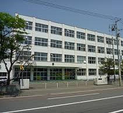 【周辺】札幌市立白楊小学校まで428ｍ
