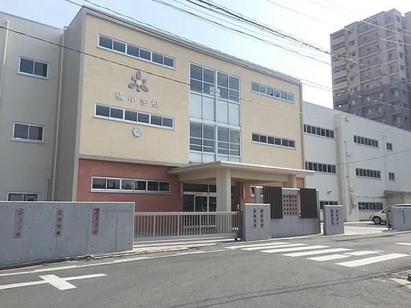 【周辺】郡山市立橘小学校 1429m