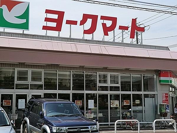 【周辺】ヨークマート大倉山店まで478m