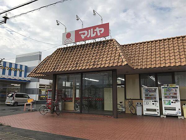 【周辺】Maruya（マルヤ） 春日部中央店（424m）