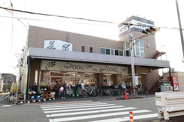 【周辺】スーパーオオジ(尾浜店)の外観