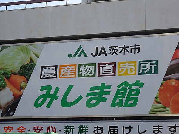 【周辺】【スーパー】茨木市農協 農産物直売所みしま館まで248ｍ