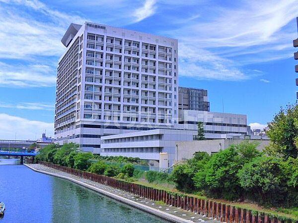 【周辺】東京都立墨東病院 徒歩10分。 780m