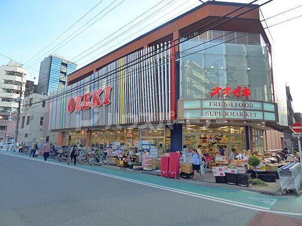 【周辺】スーパーオオゼキ菊川店 徒歩8分。 580m