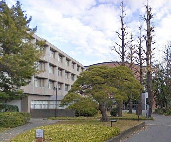 【周辺】国立東京芸術大学 徒歩34分。 2670m
