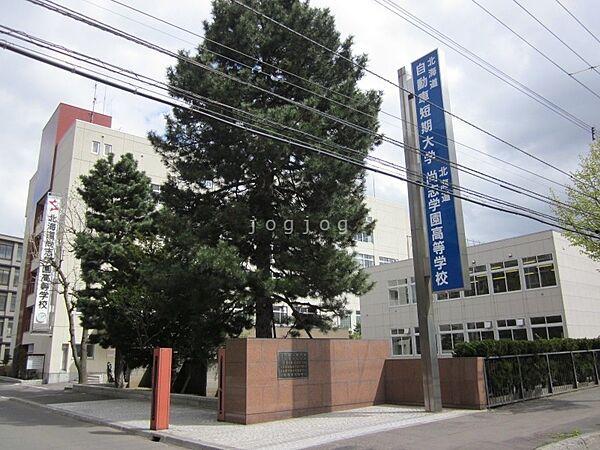 【周辺】私立北海道科学大学高校 2019m