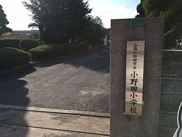 【周辺】山陽小野田市立小野田小学校 410m