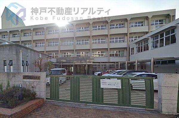 【周辺】神戸市立鷹匠中学校 徒歩13分。 1010m