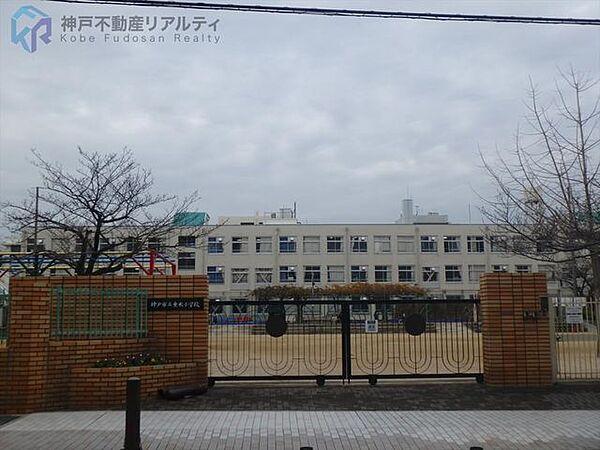 【周辺】神戸市立垂水小学校 徒歩5分。 400m