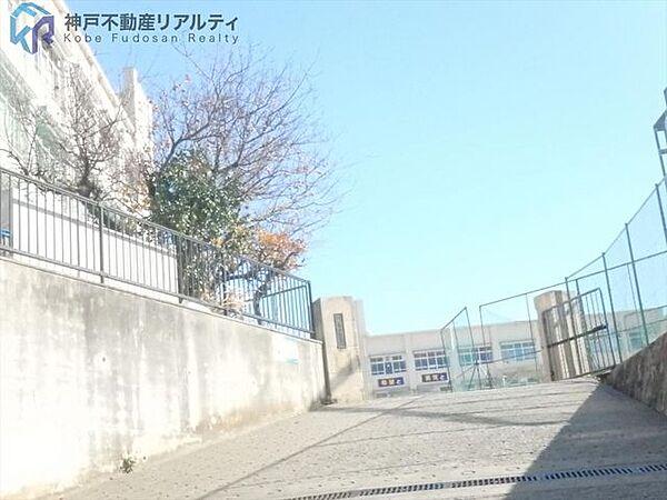 【周辺】神戸市立垂水中学校 徒歩21分。 1680m