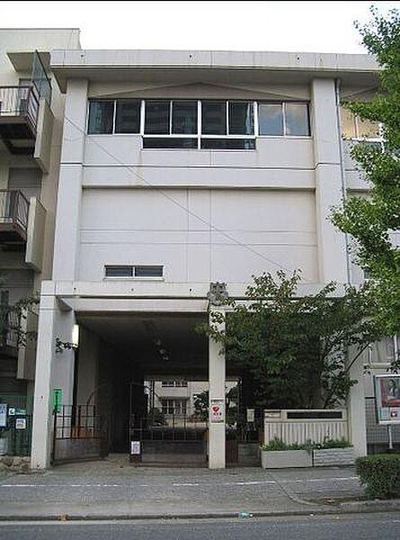 【周辺】神戸市立御影中学校 徒歩10分。 790m