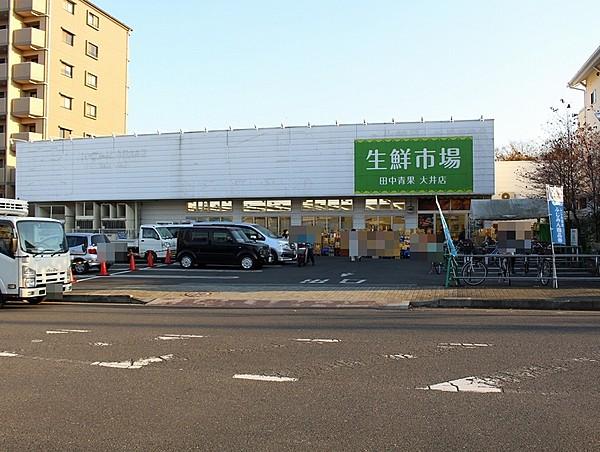 【周辺】生鮮市場田中青果大井店 徒歩 約2分（約155m）