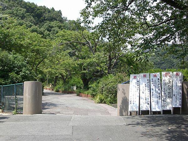 【周辺】【中学校】芦屋市立山手中学校まで1088ｍ