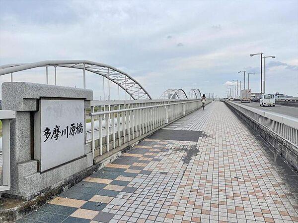 【周辺】多摩川原橋