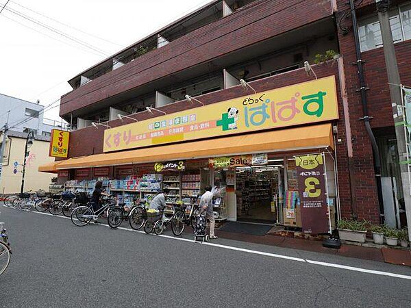 【周辺】どらっぐぱぱす 大山幸町店