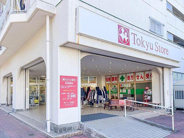 【周辺】東急ストア 東林間店
