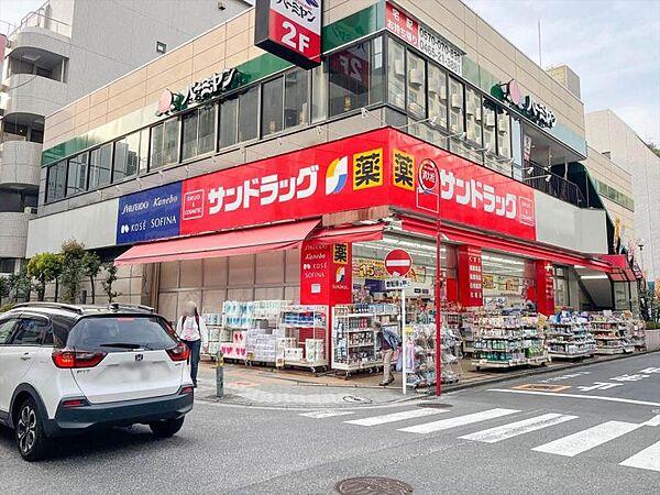 【周辺】サンドラッグ藤沢南口店