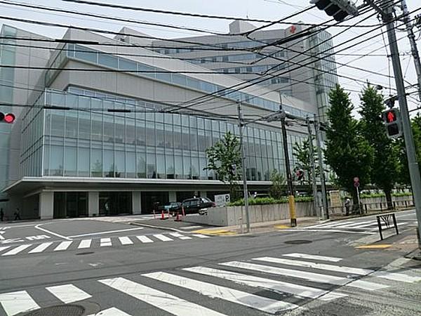 【周辺】総合病院日本赤十字社医療センターまで305ｍ