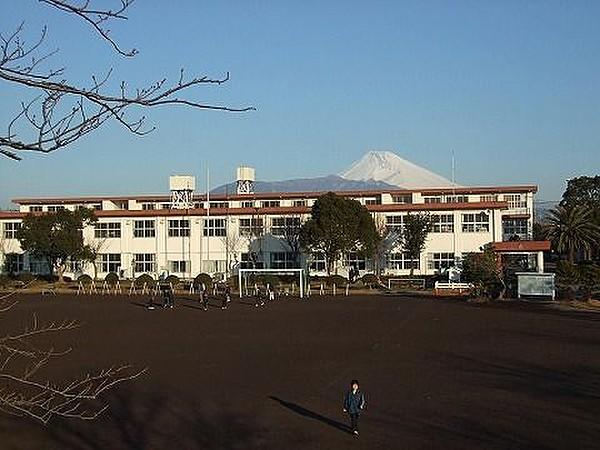 【周辺】三島市立長伏小学校 480m