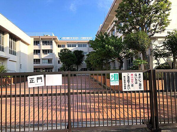 【周辺】葛飾区立新小岩中学校