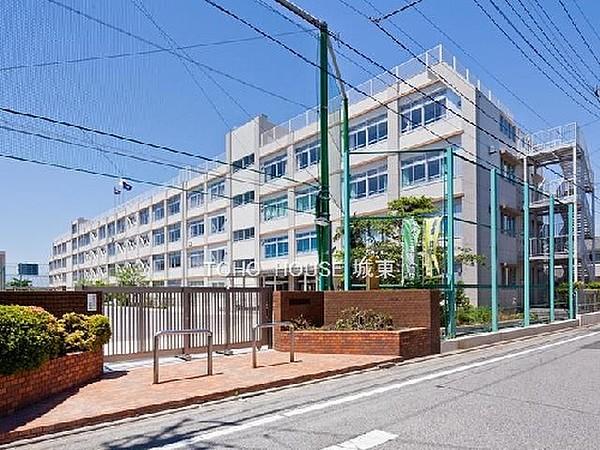 【周辺】周辺環境-中学校(450m)区立東島根中学校