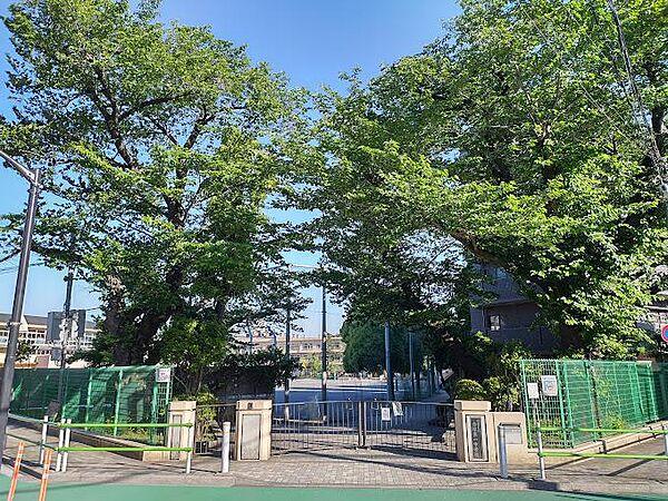 【周辺】板橋区立赤塚第一中学校