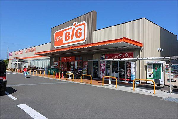 【周辺】ザ・ビッグ吉田店（648m）