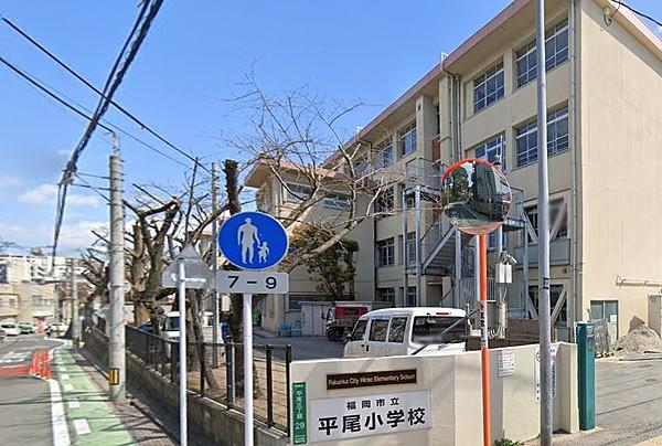【周辺】福岡市立平尾小学校。630ｍ。徒歩8分。