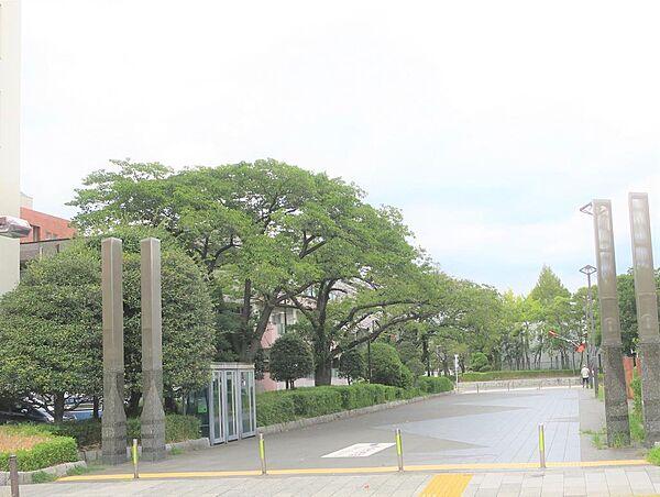 【周辺】駅前からの遊歩道が約2ｋｍ続く、面積が約5.8万ｍ2もある東綾瀬公園入口まで徒歩1分