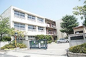 【周辺】香櫨園小学校（316m）