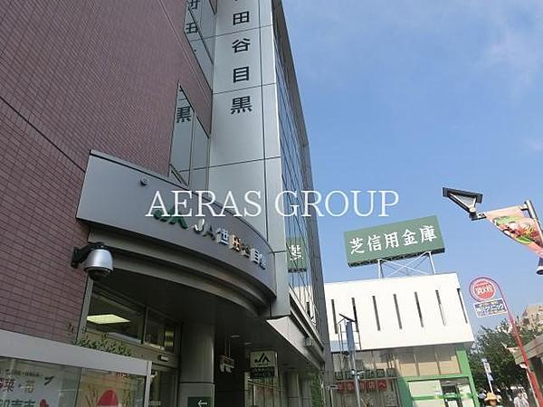 【周辺】JA世田谷目黒本店 578m