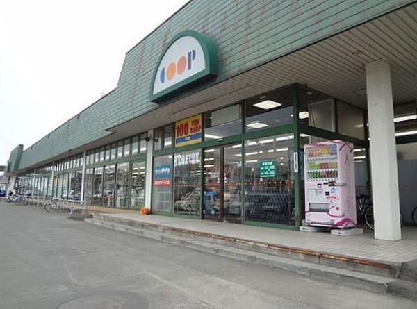 【周辺】スーパー「コープさっぽろ北広島店まで553m」
